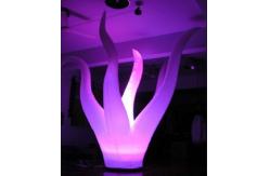 China Lighting Inflatable Seaweed supplier