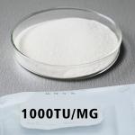 Original Papaya Enzyme 50TU/MG-1000TU/MG Protease Manufacturer Customized Enzyme Activity for sale