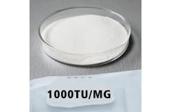 China Original Papaya Enzyme 50TU/MG-1000TU/MG Protease Manufacturer Customized Enzyme Activity supplier