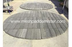 China 11000 Mm Diameter Demister Mist Eliminator Shows Experiences Custom Size supplier
