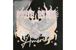 China Customized Clothing Screen Printed Logo / T Shirt Transfer Printing Design supplier