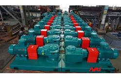 China Explosion Proof Drilling Mud Agitator Helical Bevel Gearing Canted Impellers supplier