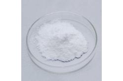 China 10000ALU-100000ALU Alpha Galactosidase Enzyme Foods Customized Enzyme Activity supplier