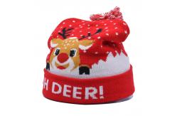 China Unisex Winter Beanie Hats With Embroidery Pattern For Cold Season supplier
