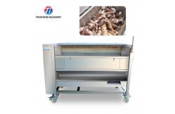 China SUS304 1.5KW Potato Washing And Peeling Machine Bulb Root Veg supplier