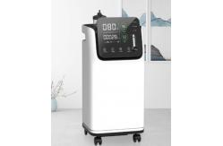 China Portable Household Natural 5 Litre Oxygen Concentrator Generator supplier