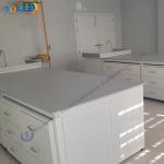 Customized Number Of Lockers And Shelves Lab Tables Work Benches for sale