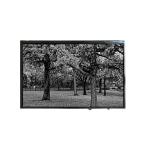 VVX11F019G00 400 cd/m2 1000:1  LCD Display Screen Panel for sale