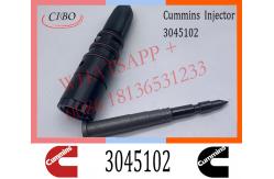 China Diesel M11 L10 Common Rail Fuel Pencil Injector 3045102 3095023 3028066 3076736 supplier