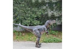 China Theme Park Simulated Realistic Dino Suit Customized Sound Eco Friendly supplier