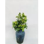 20CM Height Artificial Gardenia Bush Home Garden Table Decor for sale