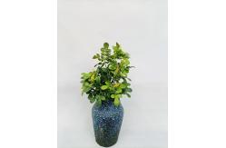 China 20CM Height Artificial Gardenia Bush Home Garden Table Decor supplier