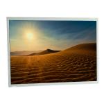 17.0 Inch 1440*900 TFT LCD Screen HannStar HSD170MGW1-B00 for sale