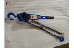 China Manual Chain Handle Hoist with Safety Latch for Secure Load Control supplier