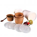 Ice Cream Disposable 7oz Printing Paper Bowl ECO Disposable Takeaway Paper Soup Bowl Soup Cup for sale