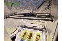 China DLC ETL Approved 320w Horticulture LED Grow Lights supplier