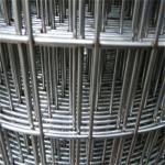 Customizable 4ftx50ft Galvanized Welded Wire Mesh Chicken Bird Cage Wire Mesh for sale