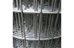 China Customizable 4ftx50ft Galvanized Welded Wire Mesh Chicken Bird Cage Wire Mesh supplier