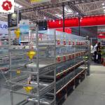 Animal Battery Chicken Breeder Cages Automatic Poultry Farming 8 Tiers for sale