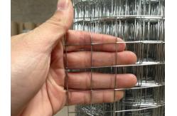 China 3x3 Concrete Reinforcing Welded Wire Mesh And 4x4 Galvanized Welded supplier