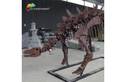 China ISO Zigong Real Size Dinosaur Skeleton Replica For Museum Exhibition supplier
