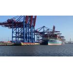 -Canada USA LCL Shipping with Everyday Departure Route From To Canada USA for sale