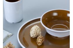 China BPA Free Food Grade 100% Melamine Sushi Tableware supplier