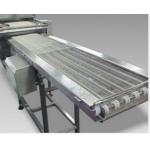                 Customized Space-Saving Vertical Gravity Conveyor              for sale