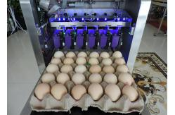 China Simple Operation Egg Date Code Stamp Machine With Low Diffusion Printing Ink supplier