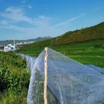 40 Mesh Fine Garden Netting For Farms And Agricultural