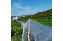 China 40 Mesh Fine Garden Netting For Farms And Agricultural supplier