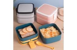 China Double-Layer Portable Plastic Bento Lunch Box With Lid 1000ML Rectangular Blue supplier