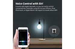 China US Plug Smart Homekit Socket 16A 2 Pin DIY Wifi Enabled Plug Socket supplier