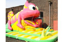 China Commercial Double Side Inflatable Bouncer Slide Double Stitching supplier
