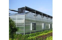 China Initial Payment Snow Vibrator Greenhouse for Agriculture Unheated Heating Method supplier