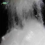 Eco-Friendly Thermal Virgin Staple Polyester Fibre Non siliconized White 51mm