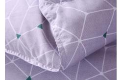 China Home 300T Satin 250g/M2 Duck Down Duvet supplier