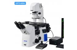 China Full Motorized Opto Edu Microscope Semi APO BF / PH / PL / FL / DIC supplier