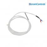 PTFE PT100 PT1000 Waterproof Temperature Sensors 2 Wire