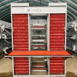 H Type 3 Tiers 4 Tiers Battery Cage For Layer Chicken 45 * 60 * 41cm for sale