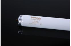 China T12/D65 Energy Efficiency Light Box Tubes 120cm With Simple Design supplier