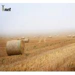 UV Stability Round Baler Net Wrap Anti Aging Hay Bale Net 1.25X2000m for sale