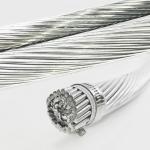 AACSR Conductor High Strength Thermal Resistant Aluminum Alloy Conductor Steel Reinforced High-Capacity Lightweight Aluminum for sale