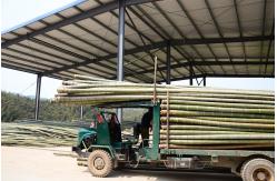 China Bamboo Crossed Board manufacturer