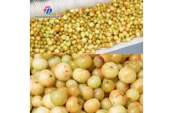 China 1500KG/H Root Vegetable Washing And Peeling Machine For Restaurant supplier
