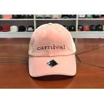 ACE Unisex Creative Flat Embroidery Design Soft Pleuche Fabric Sports Baseball Cap for sale