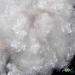 Non-Siliconized Conjugated Hollow Polyester Fibre Coiled Coil 15D White for sale