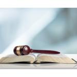 Independent Ethics Audit , Security Audit Consulting Activity Detailed for sale