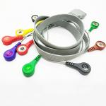 EDAN SE - 2003 / SE - 2012 16 pin Portable Ecg holter Cables And Leadwires , 10 Leads Snap Type Ecg Machine Accessories for sale