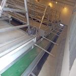 U Type Cage 4 floors Poultry Manure Removal System 3-6mm Diameter Wire for sale